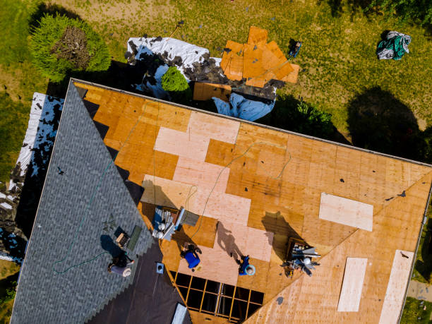 Best Residential Roof Replacement  in Zephyrhills West, FL