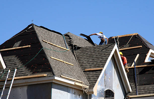 Best Roof Gutter Cleaning  in Zephyrhills West, FL