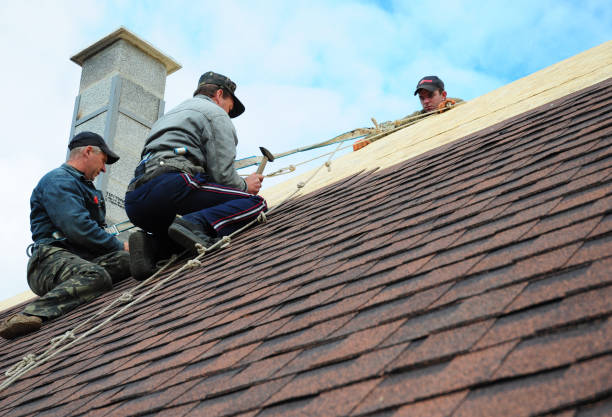 Best Roof Gutter Cleaning  in Zephyrhills West, FL