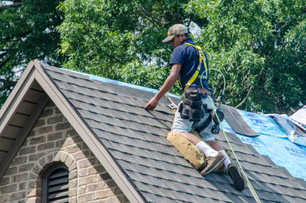 Best New Roof Installation  in Zephyrhills West, FL